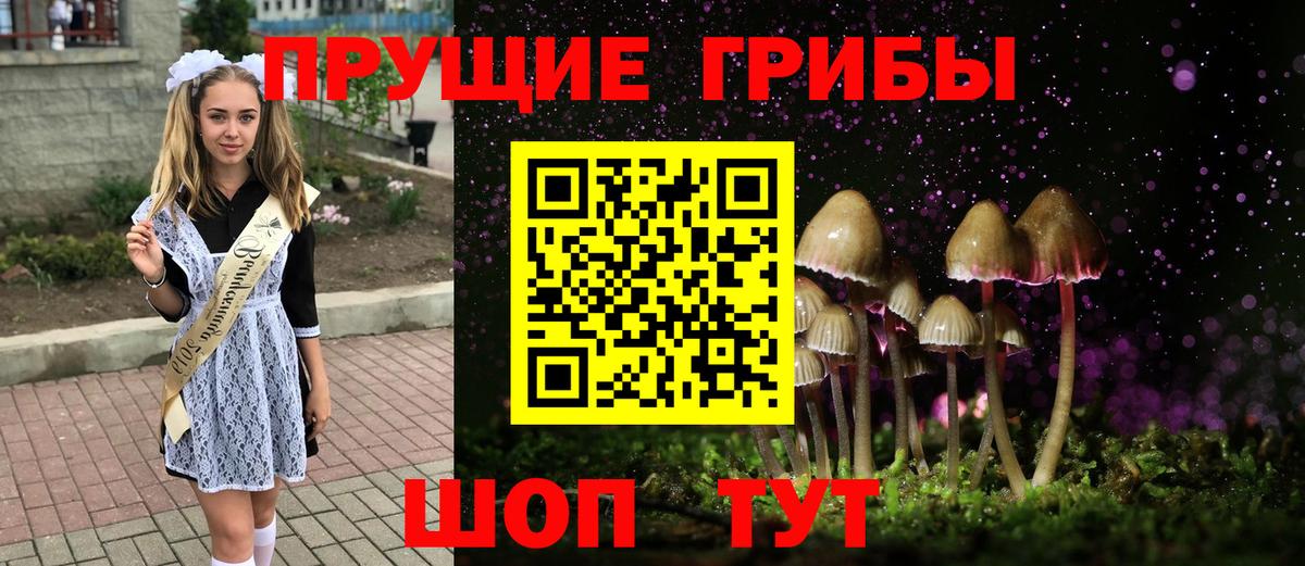 Галлюциногенные грибы Psilocybine cubensis Асбест