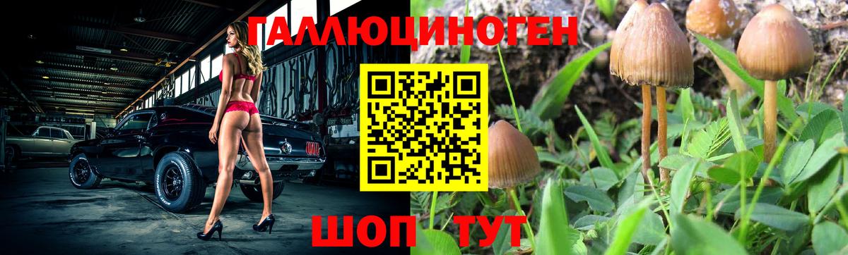 Асбест  Псилоцибиновые грибы ЛСД  цена   Вход с VPN  Псилоцибиновые грибы MAGIC MUSHROOMS 